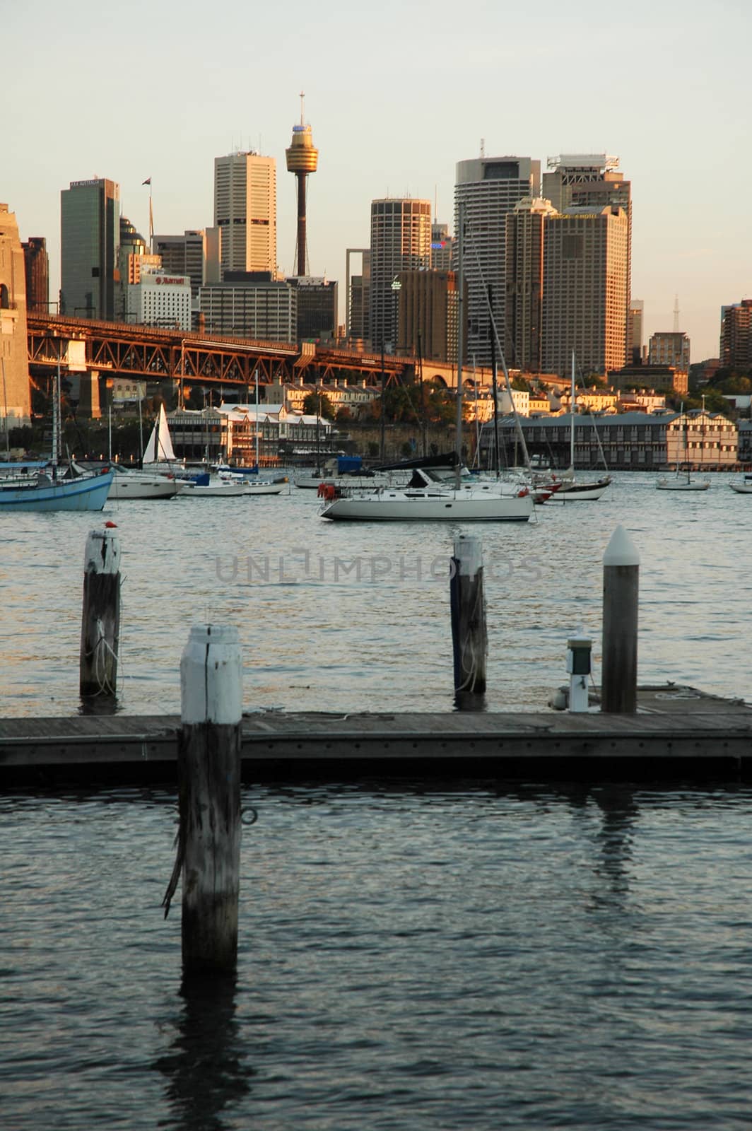 sydney harbour scenery by rorem