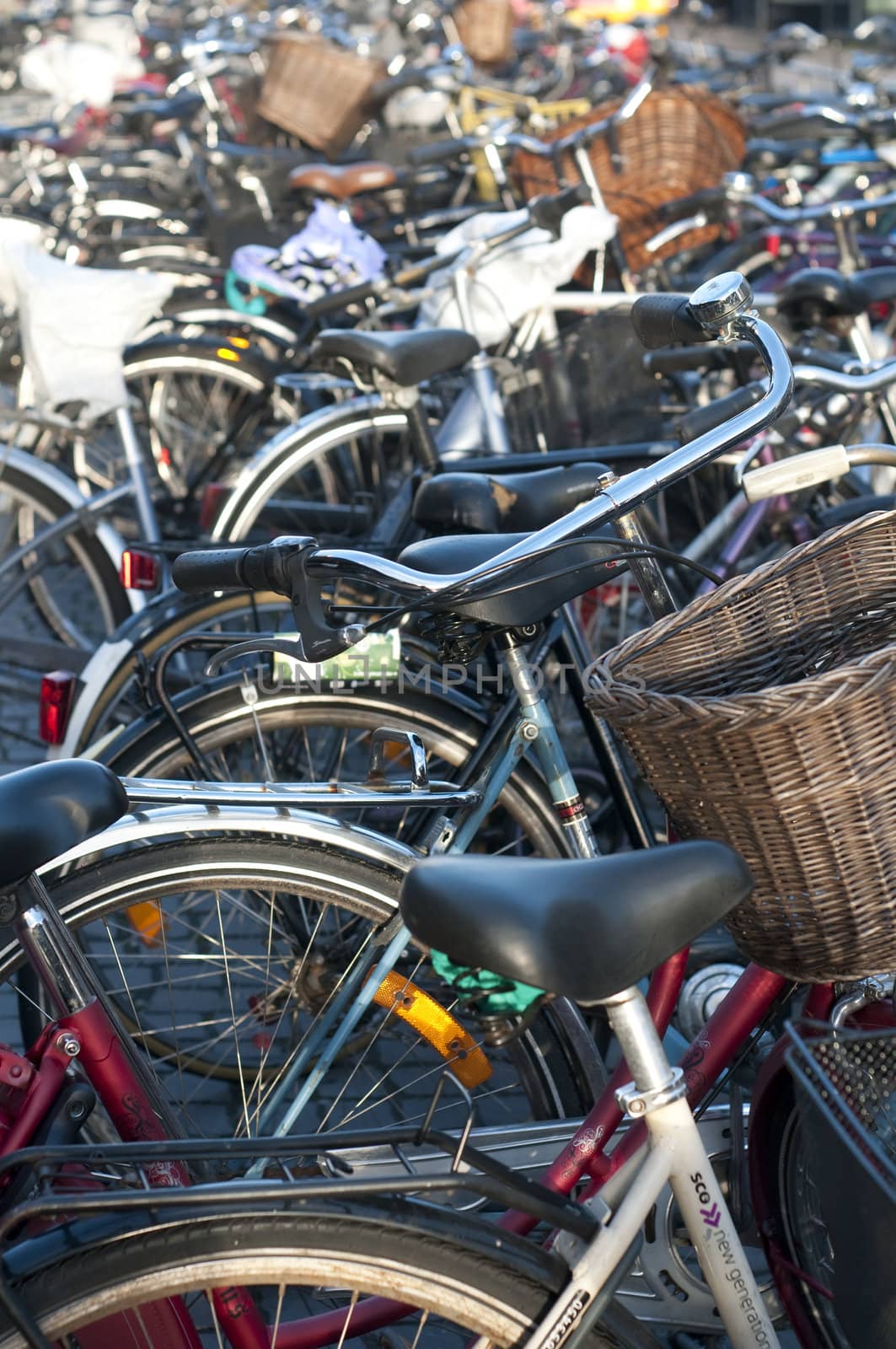 Bicycle parking lot in an ecological city