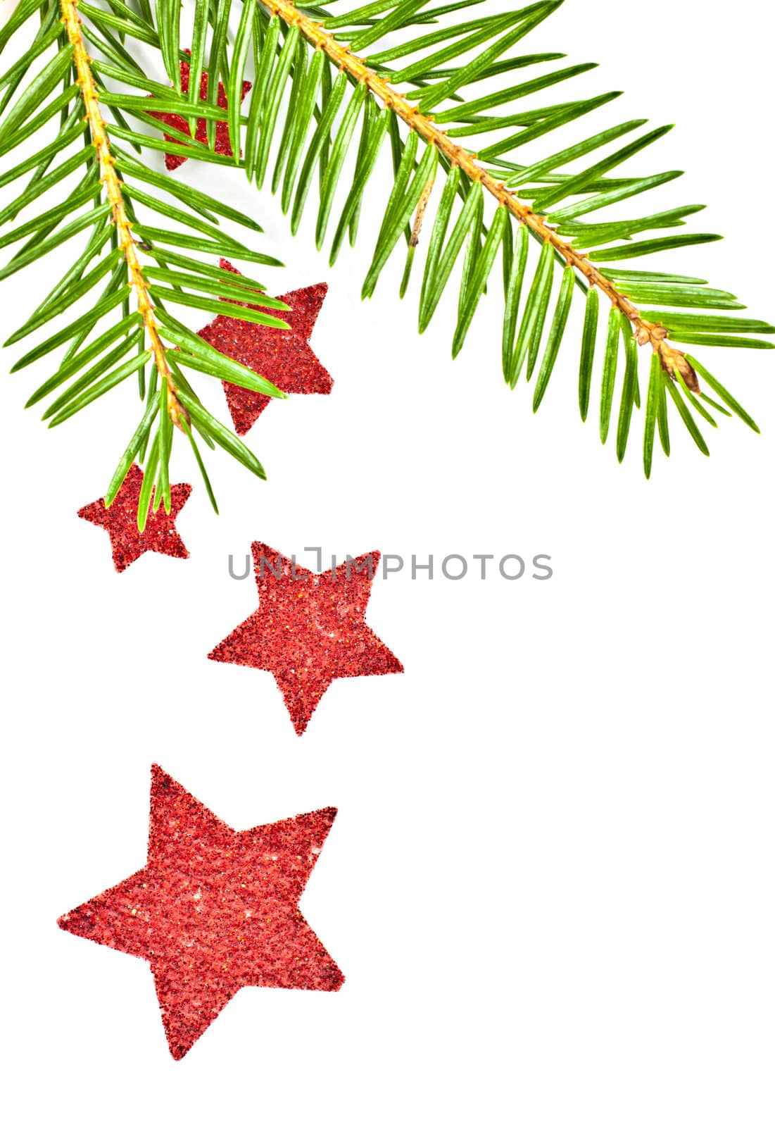 Fir branch with the star. by gitusik