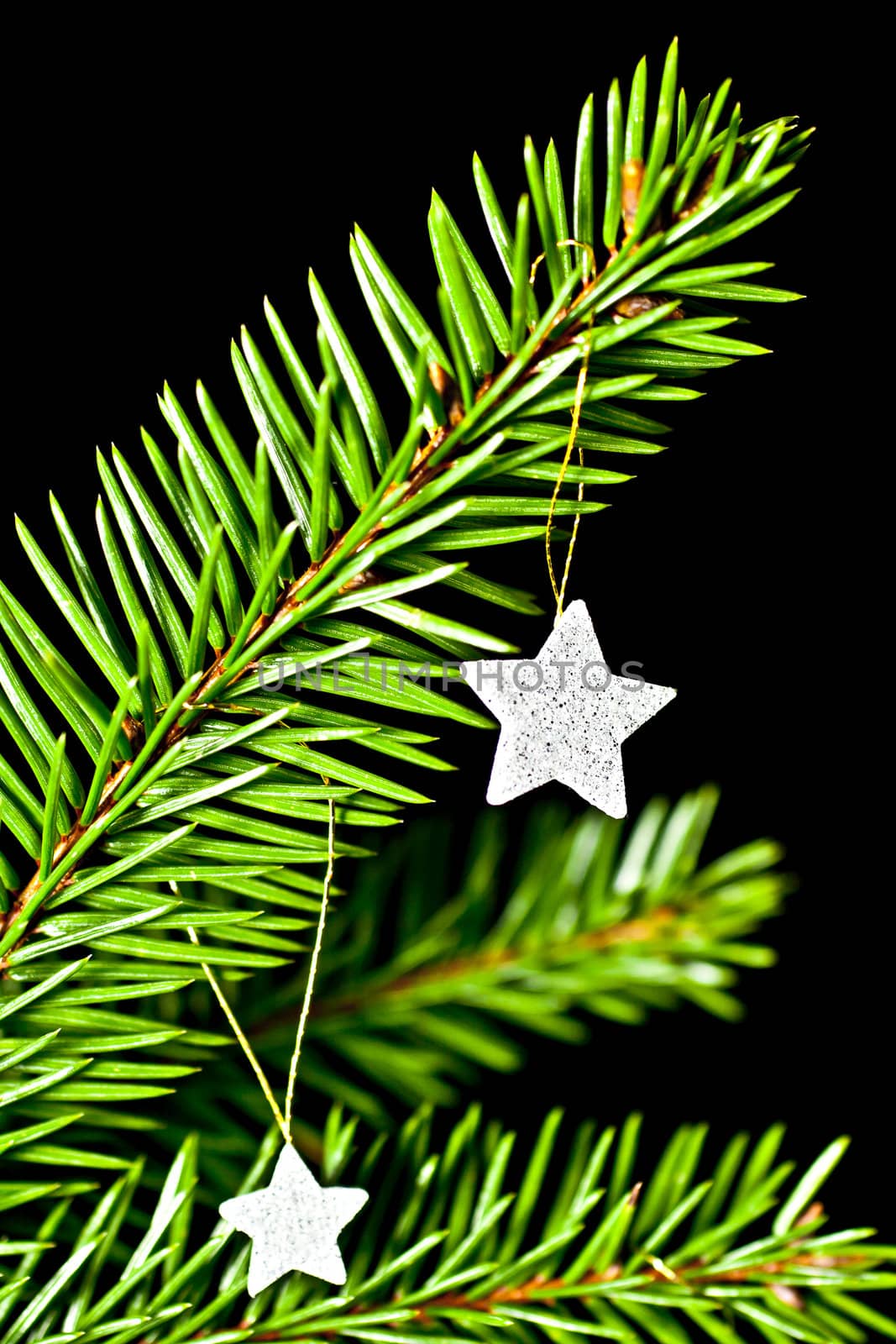 Fir branch with hanging Christmas decorations on a black background.