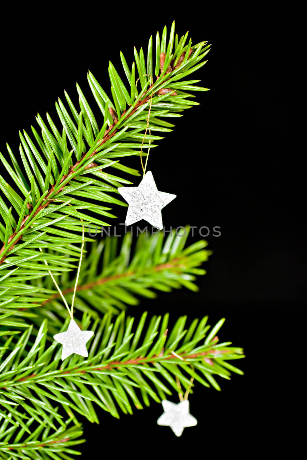Fir branch with hanging Christmas decorations on a black background.