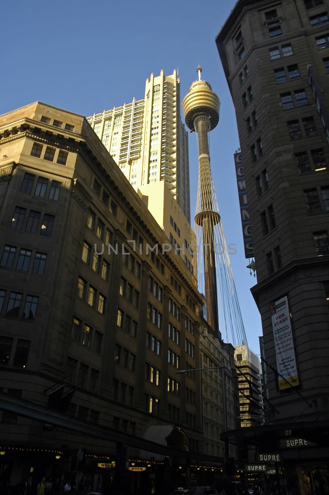 tower in Sydney, buildings in shadow, clear blue sky