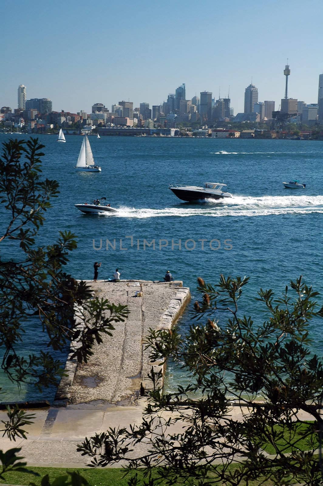 Sydney scenery, speedboats and yachts in front of CBD, Sydney tower in background