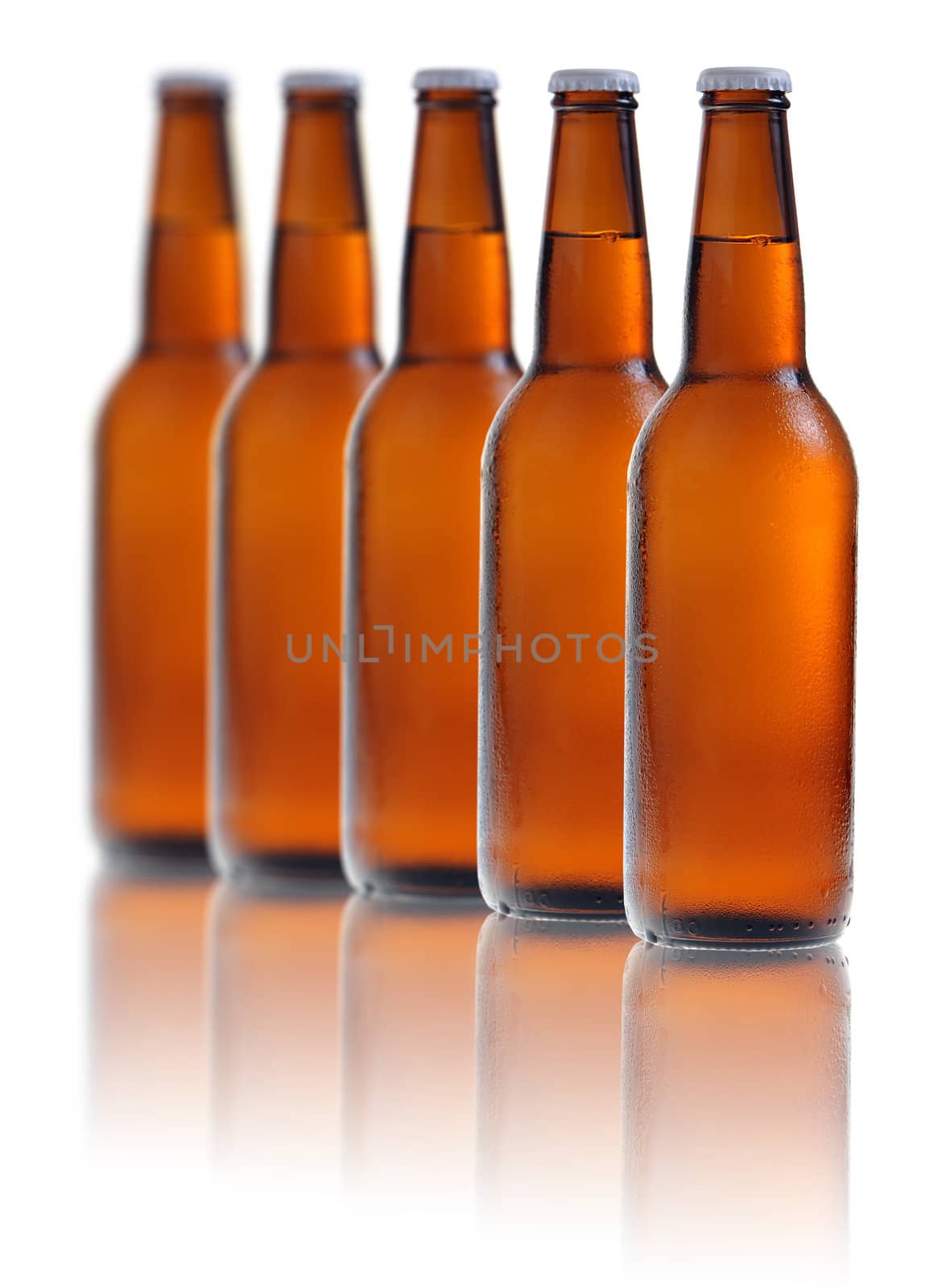 Beer bottles isolated on white background