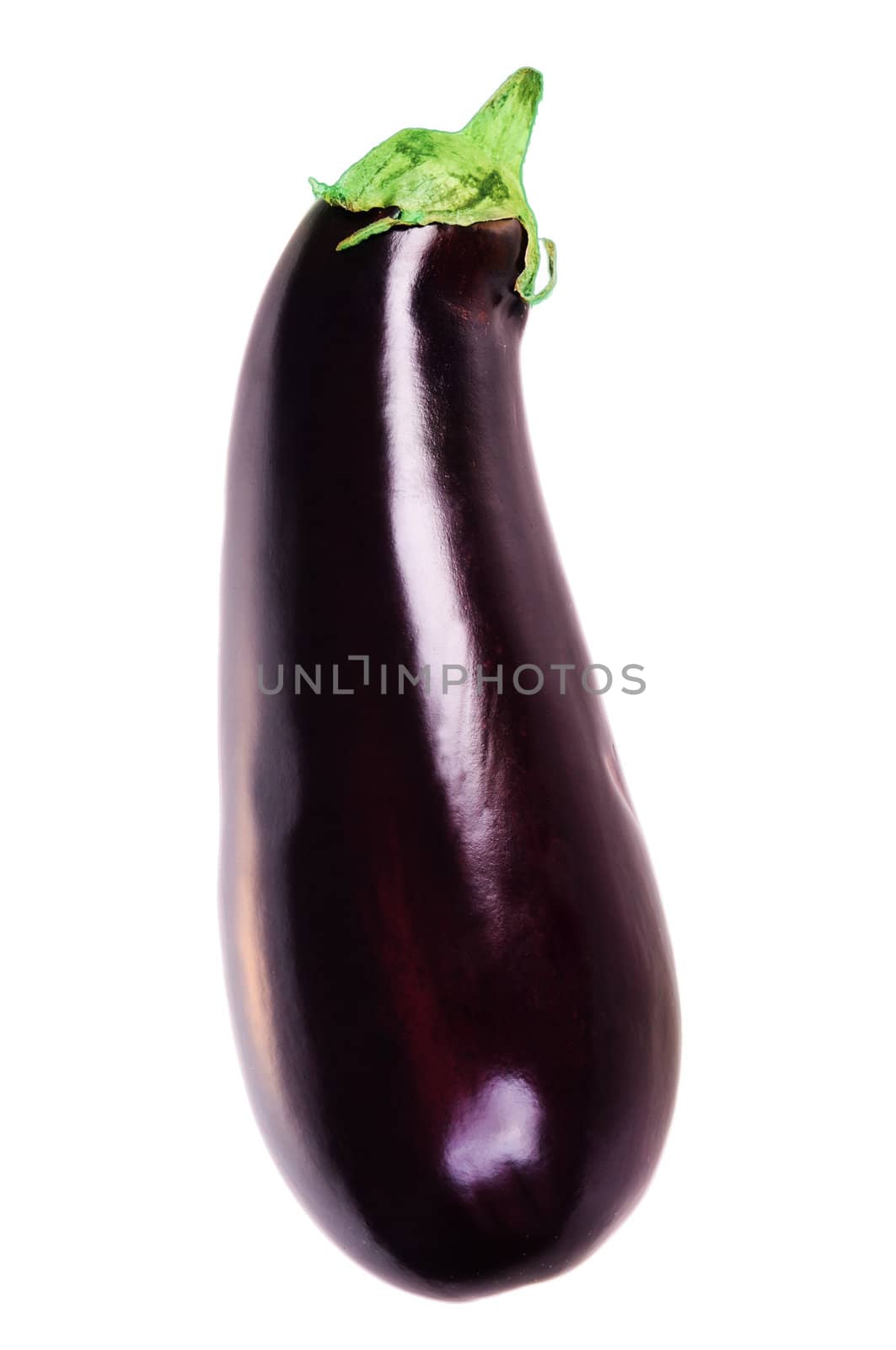 Aubergine isolated on white background