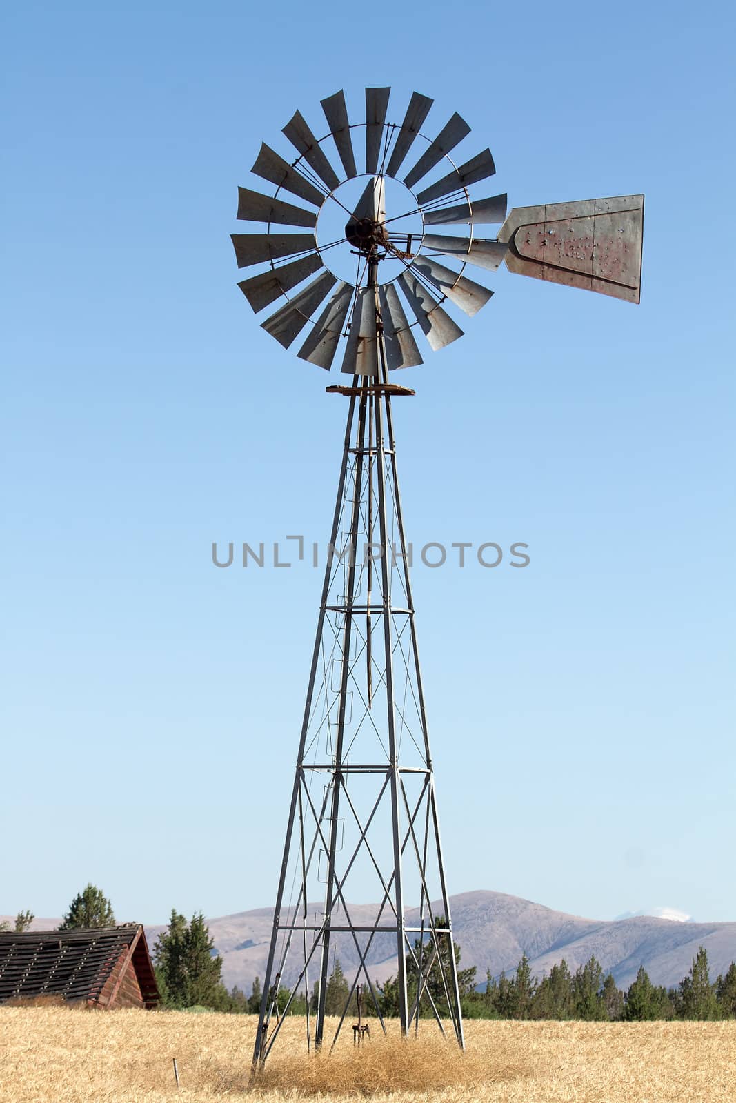 Windmill on Wheat Grass Farmland in Central Oregon