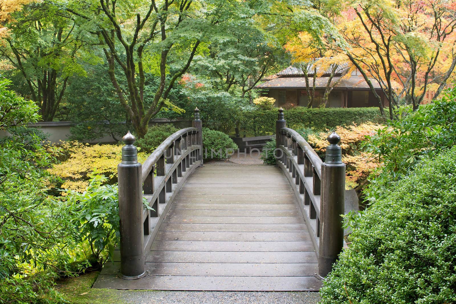 Wooden Foot Bridge in Japanese Garden in the Fall