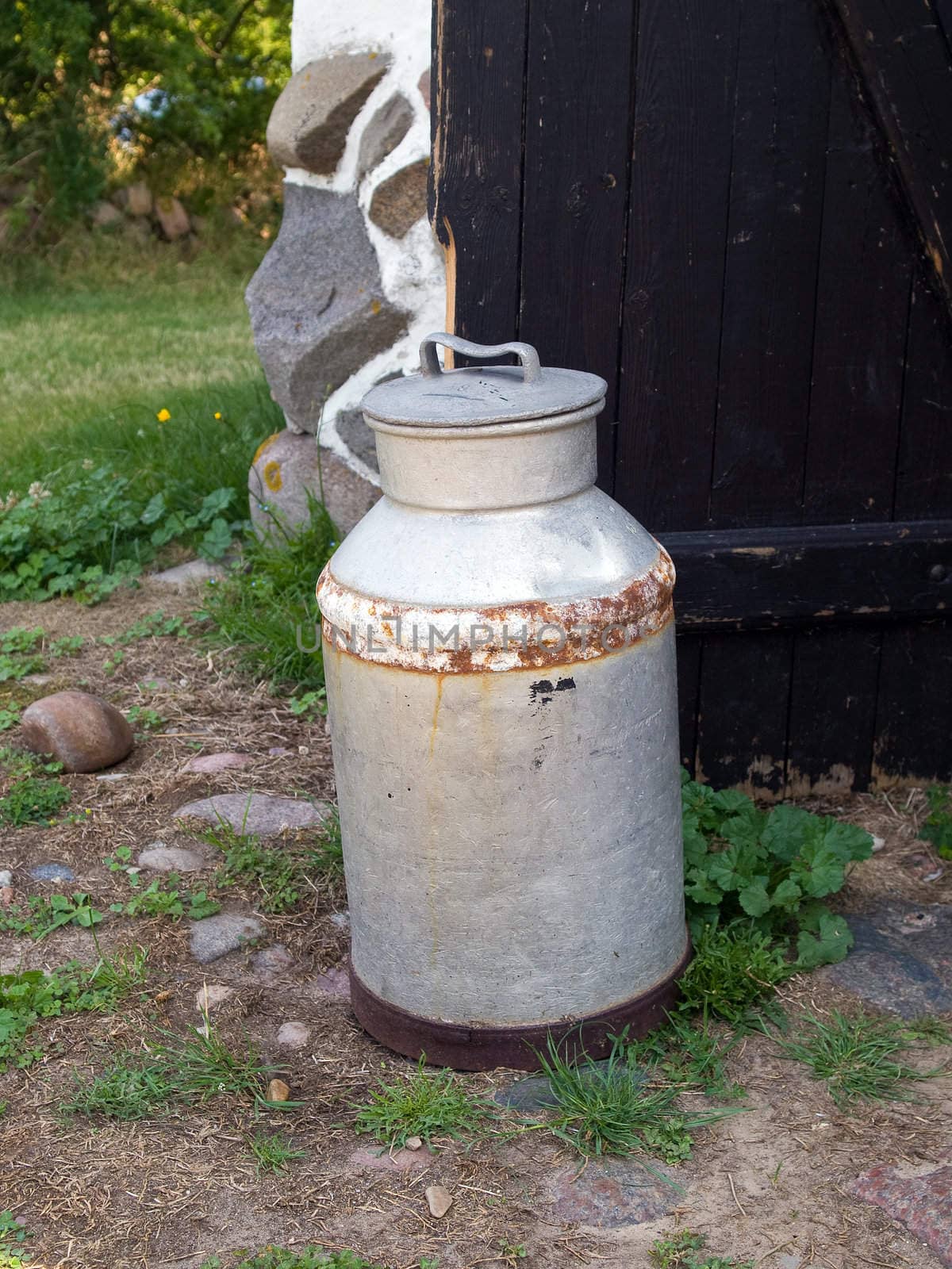 Milk can jug in a farm agriculture background by Ronyzmbow