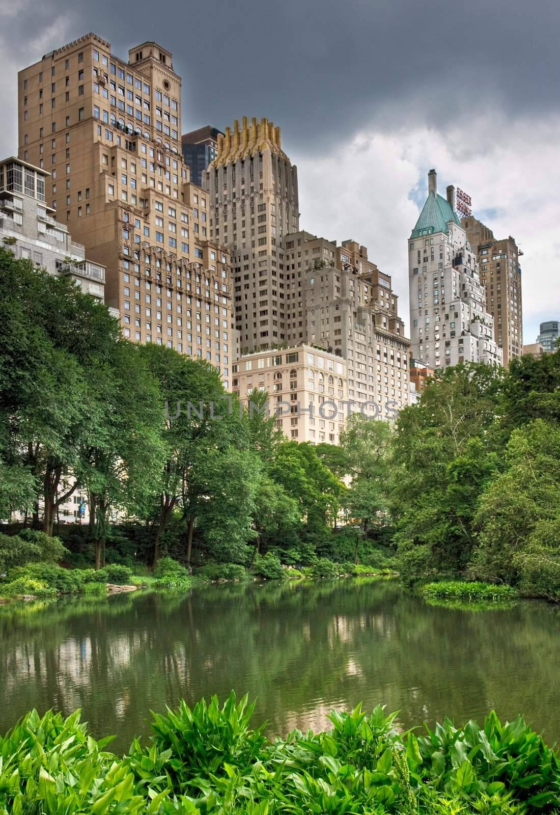 A pond in central park with high rise buildings behind it in New York City