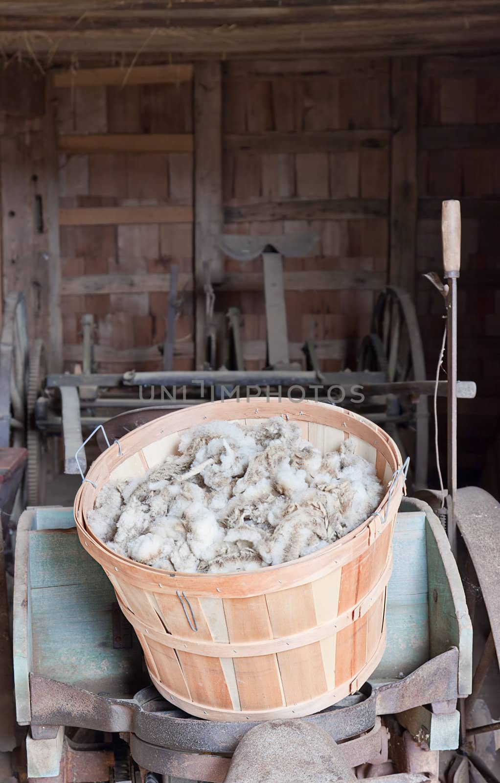 A basket of wool just sheared from the sheep. This is known as Greasy Wool" or "Wool in the Grease".