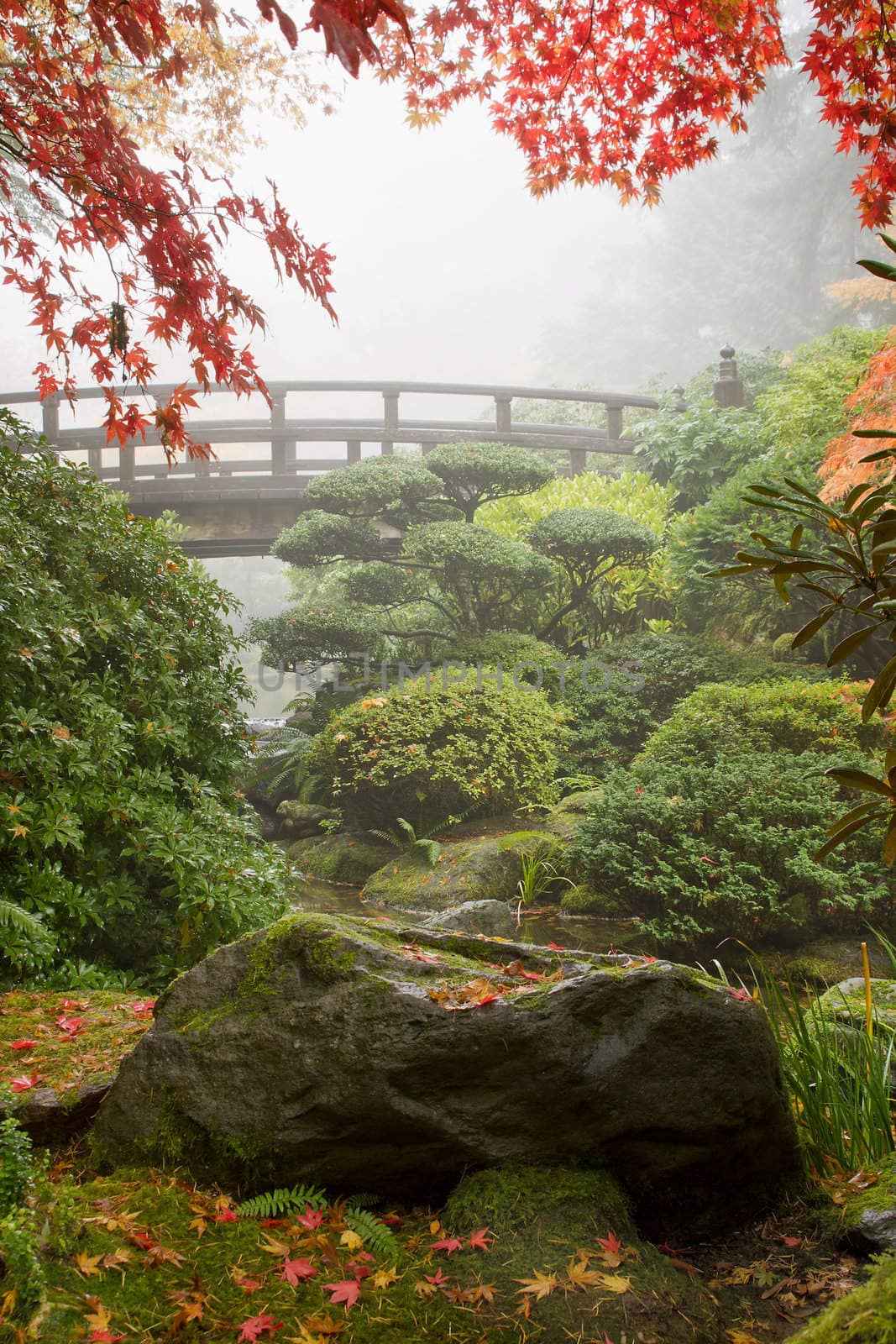 Rock and Bridge at Japanese Garden by jpldesigns