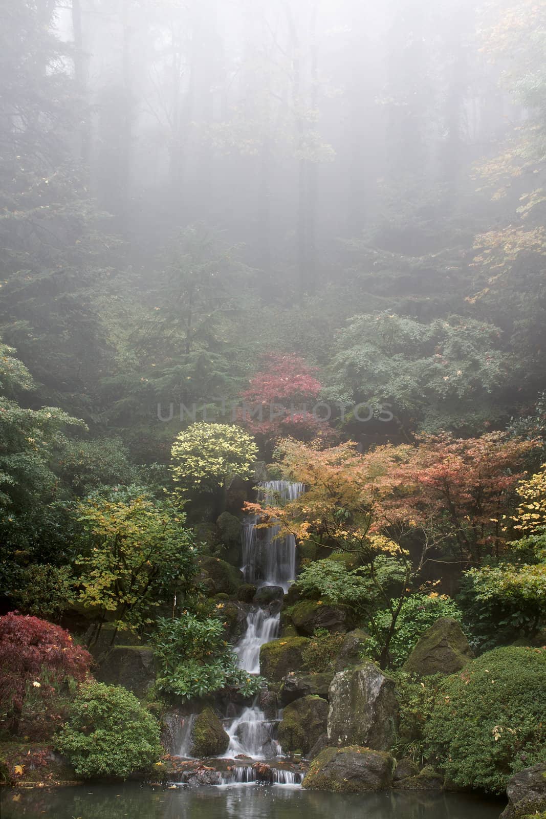 Waterfall at Japanese Garden in Fall Foggy Morning