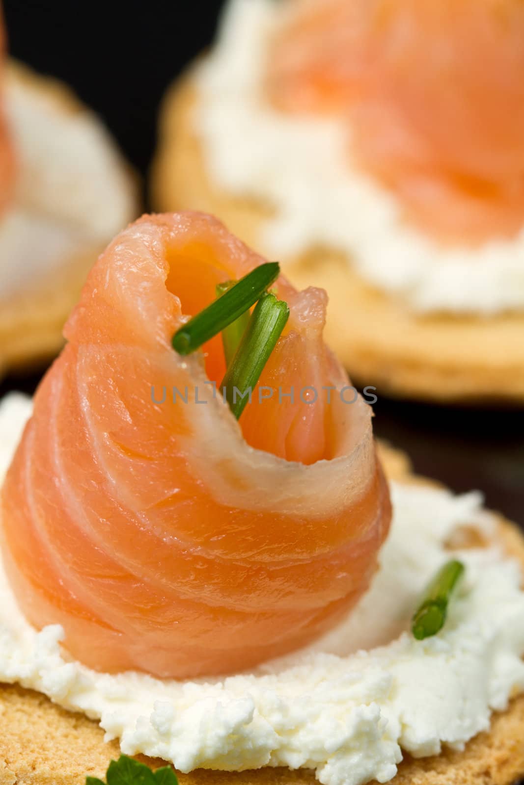 Canape with Salmon on white dish