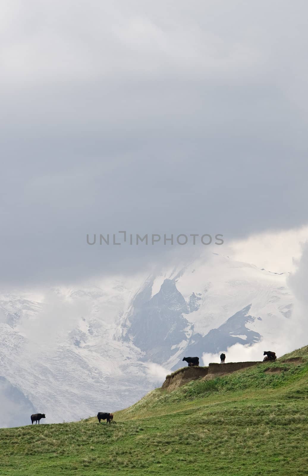 Idyllic landscape in Caucasus mountains, summer