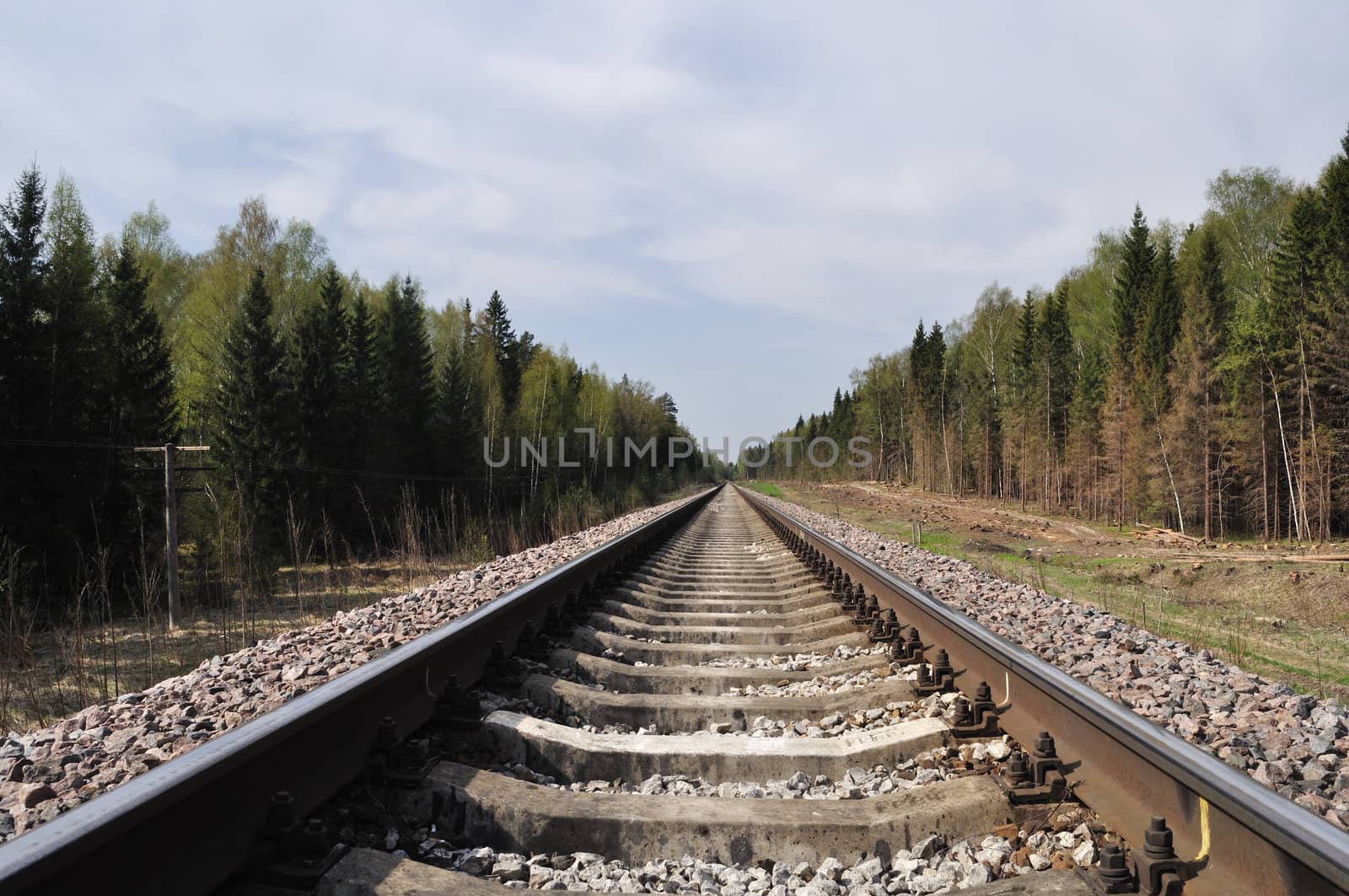 Landscape with railway track in forest on spring time
