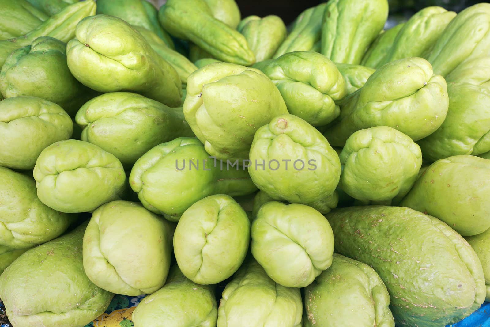 Background of organic choko Sechium edule vegetable pears by dacasdo