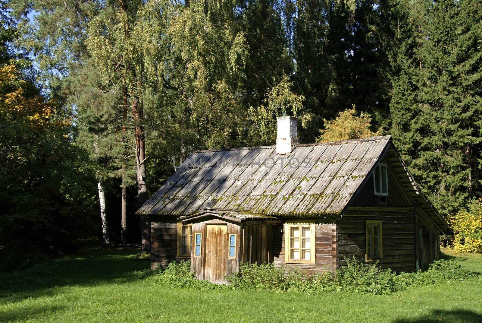 The house and forest by andrei_kolyvanov