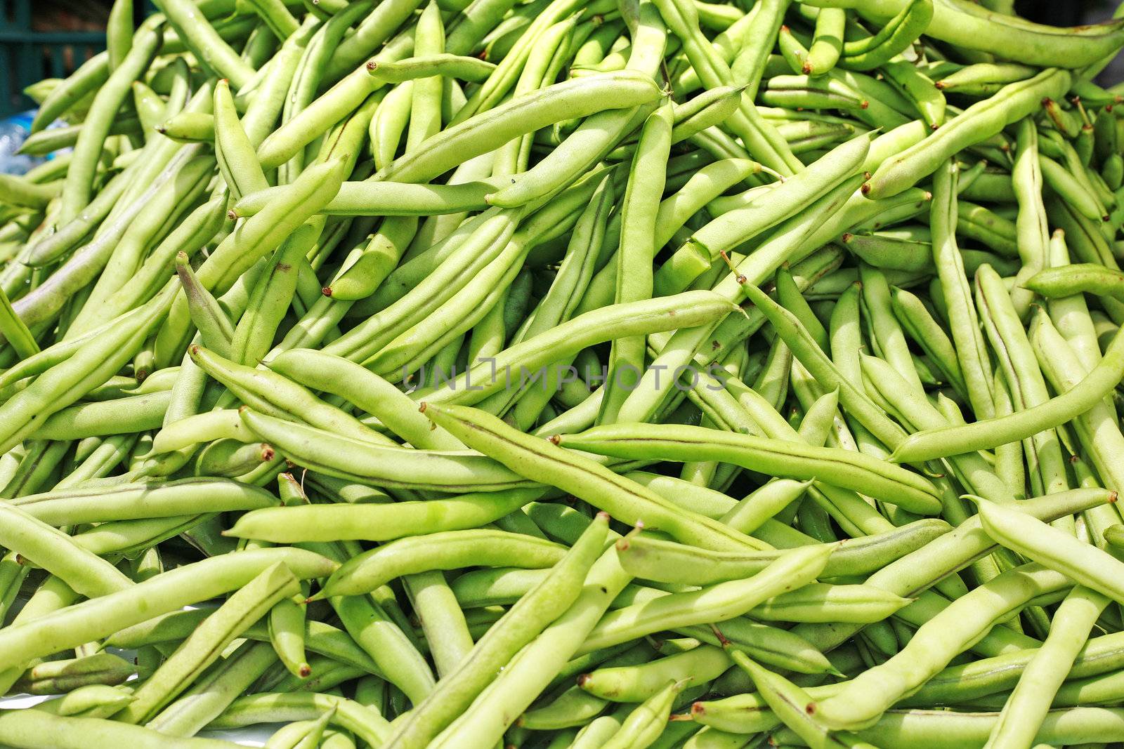 Many green beans (Phaseolus vulgaris L.) on a pile