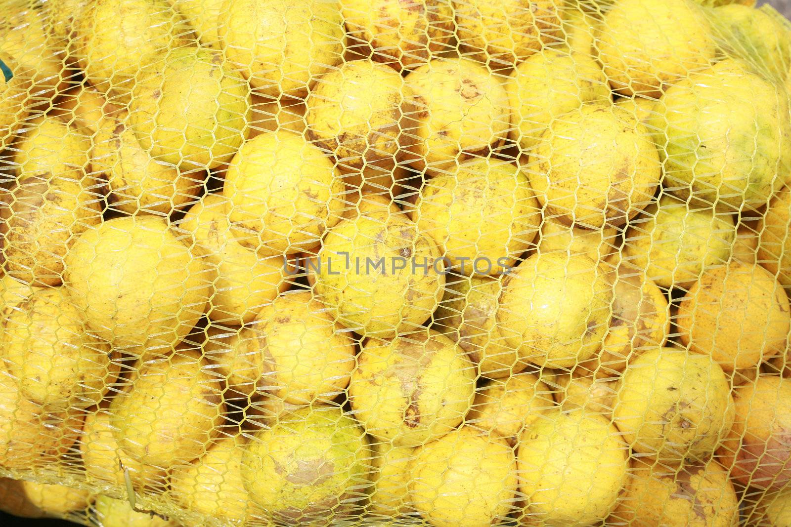 Oranges in mesh bag series