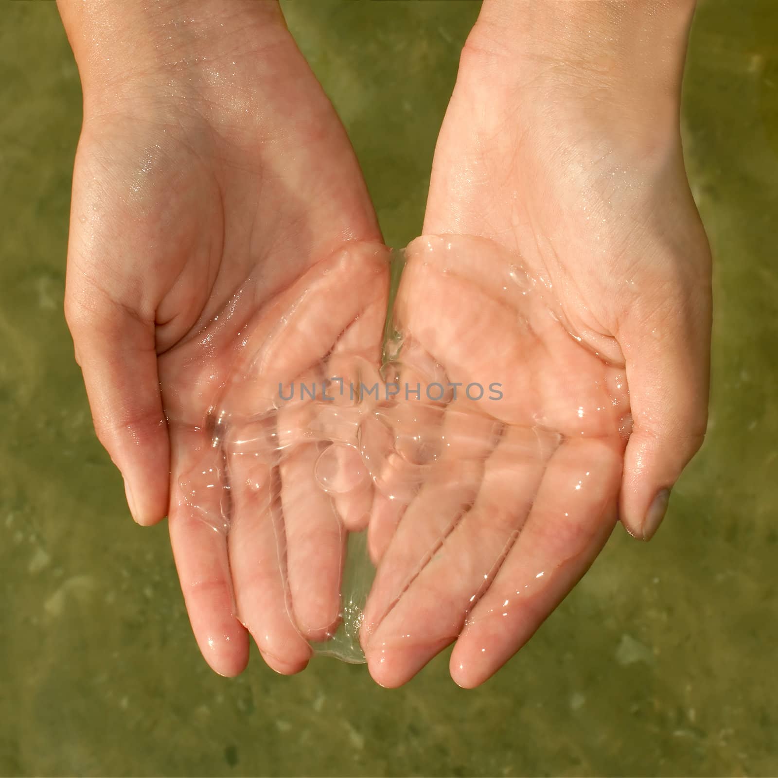 The small translucent jellyfish in women's hands