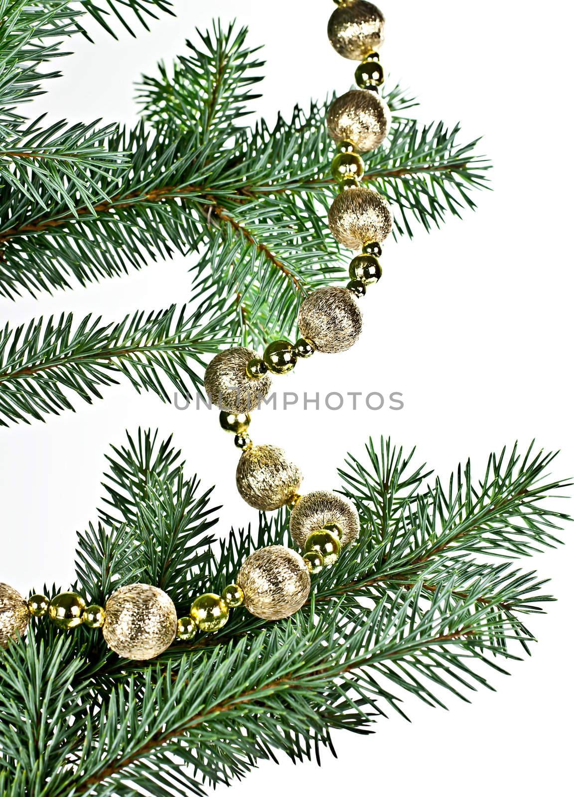 Isolated on a white background with a spruce twig Christmas decorations in a string of bombs.