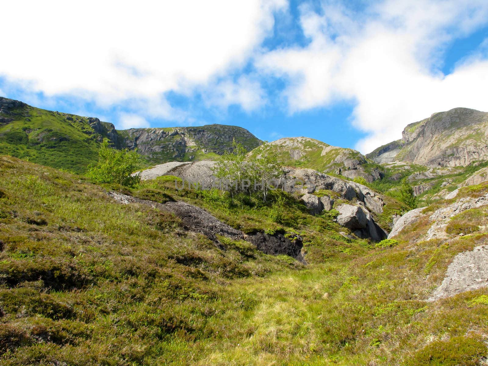 Picturesque landscape at Norway islands