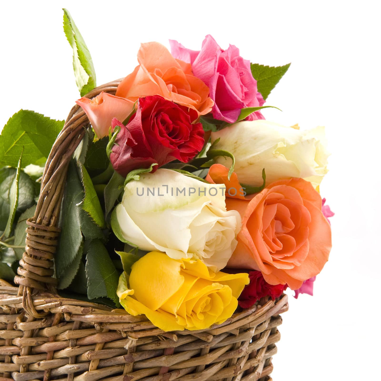 a basket roses on a white background