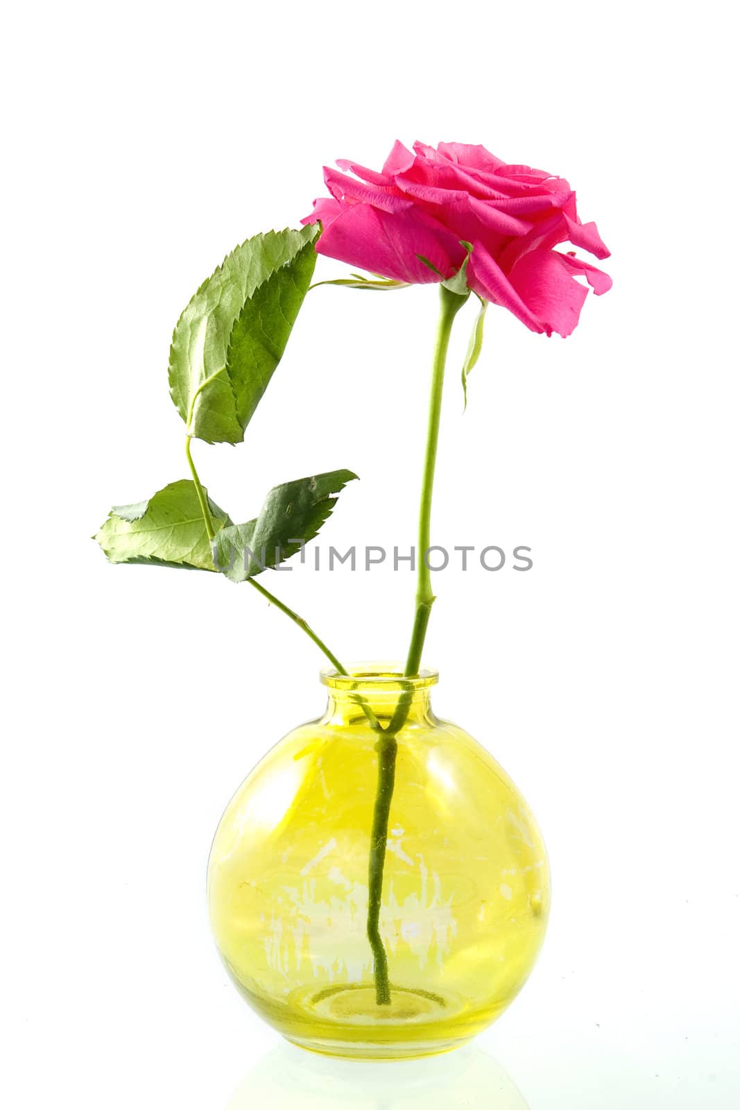 a yellow vase with a beautiful pink rose