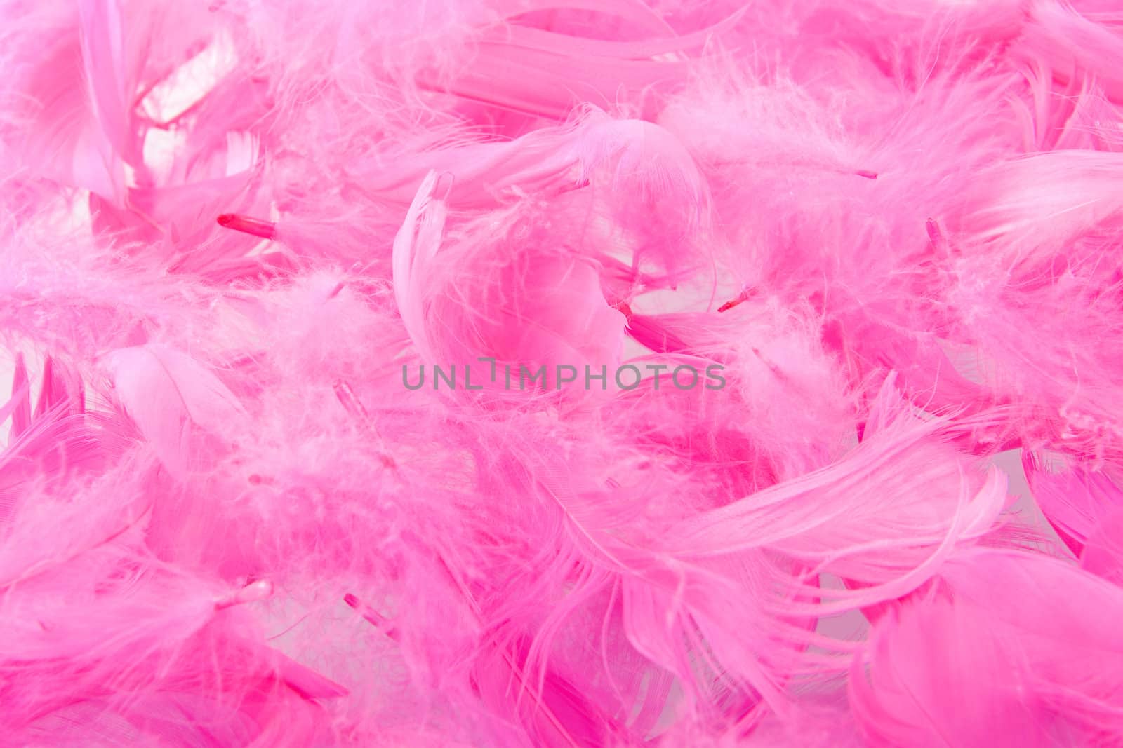 a background made of pink feathers