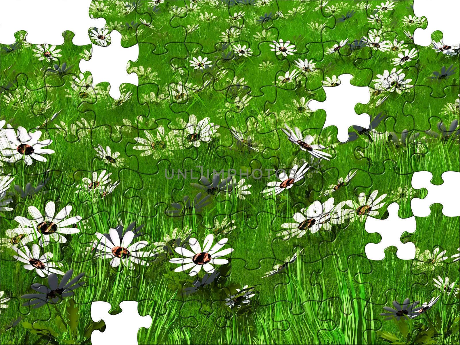 puzzle grass and flowers by njaj