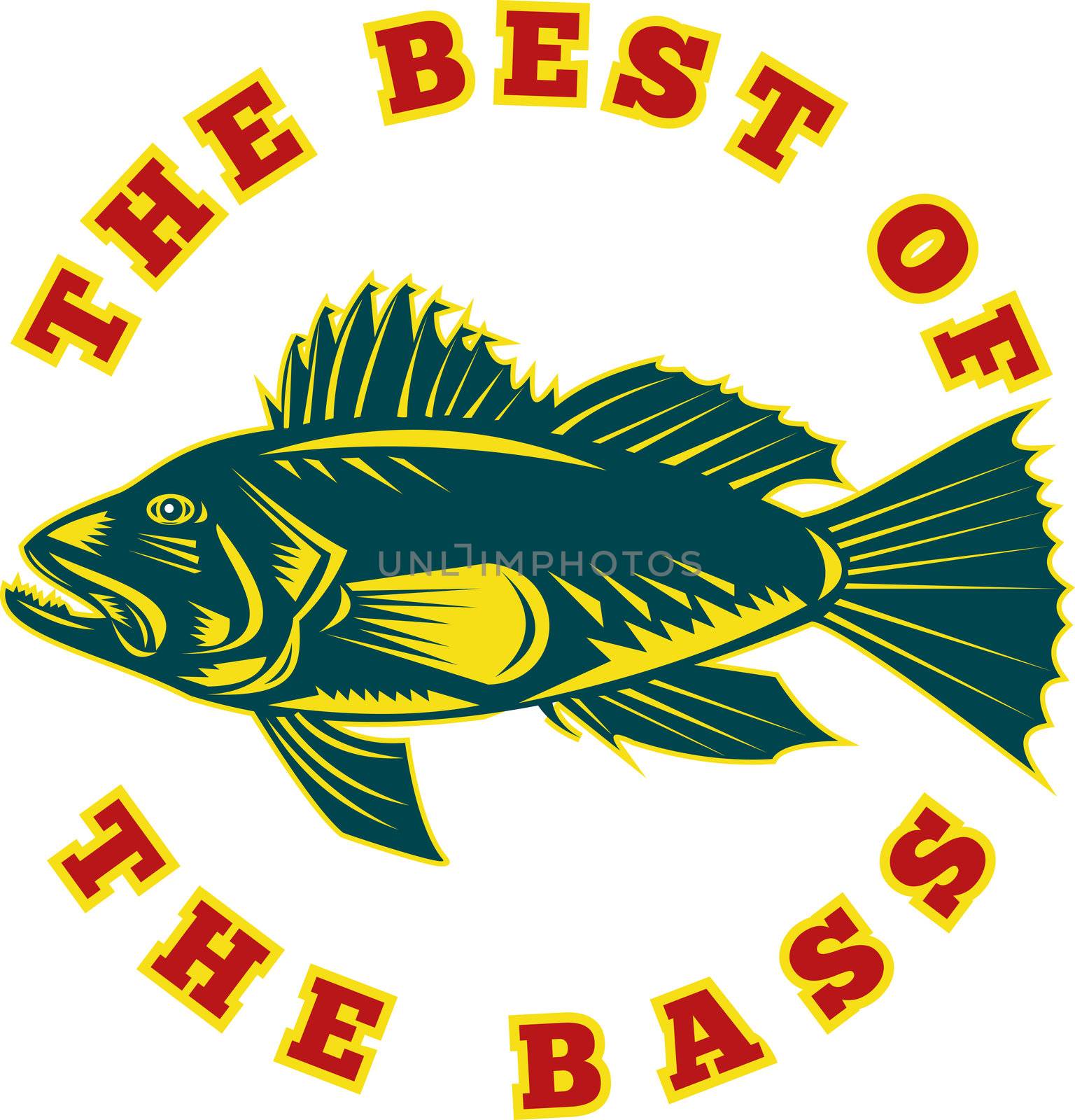 illustration of a sea bass fish viewed from side with words "the best of the bass" done in retro woodcut style