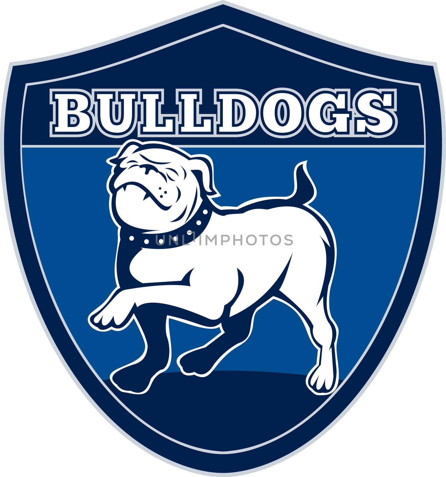 English bulldog british rugby sports team mascot by patrimonio