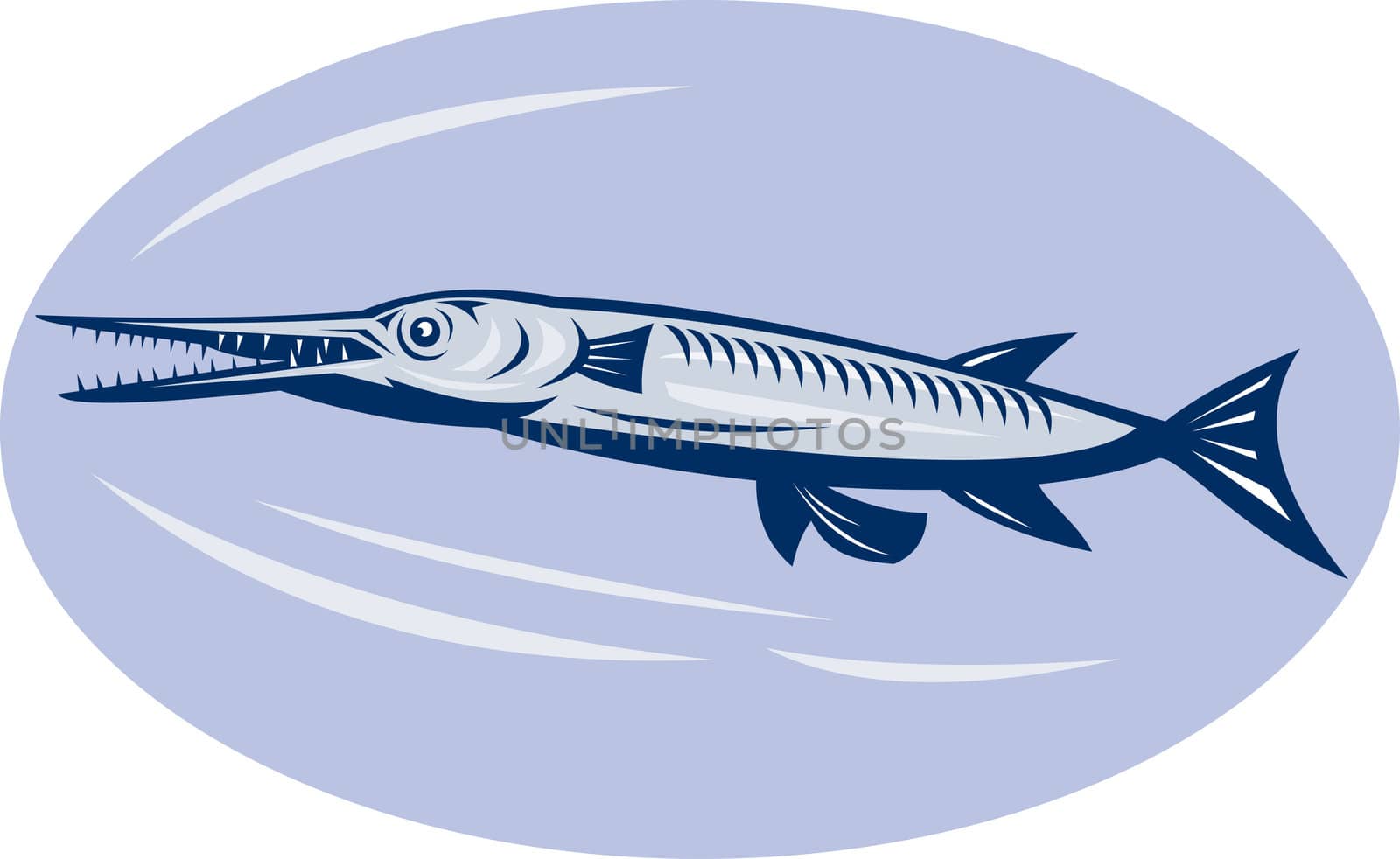 illustration of a Needlefish (family Belonidae)done in retro woodcut style.