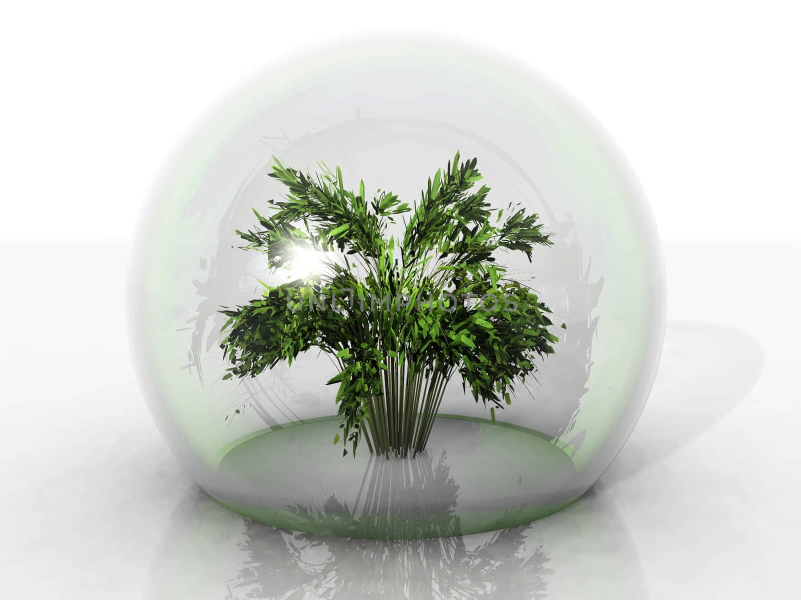 a green plant on bubble