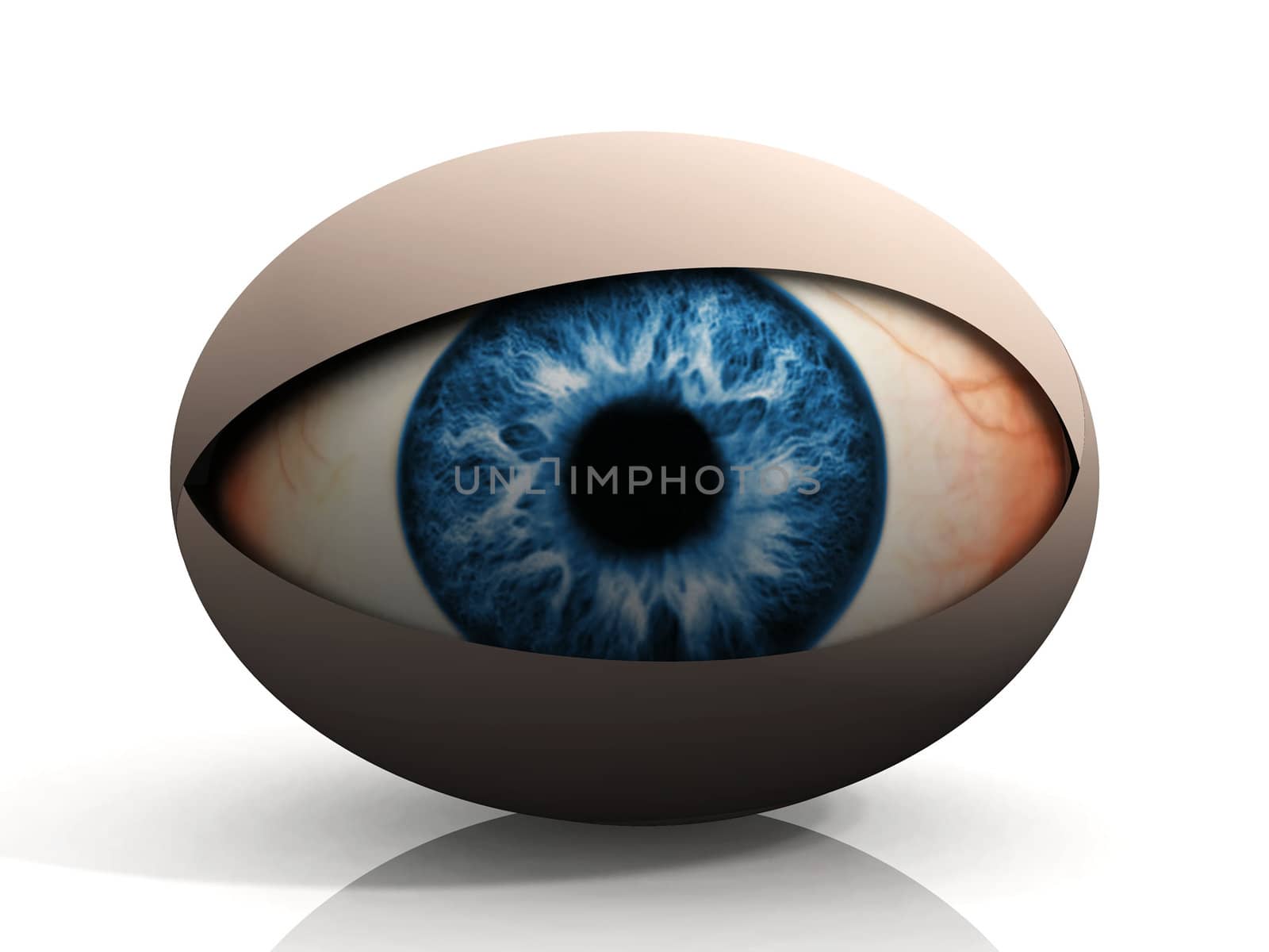 concept  of an eye on a white background