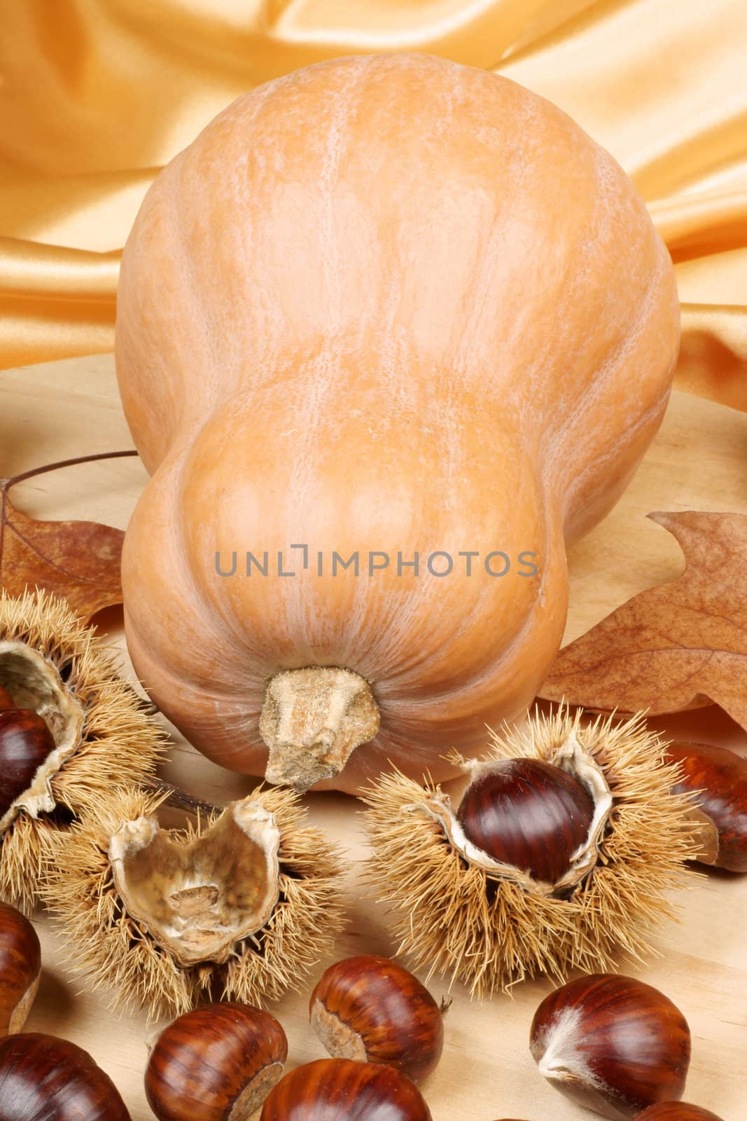 Autumn composition with pumpkin and chestnuts over a yellow background