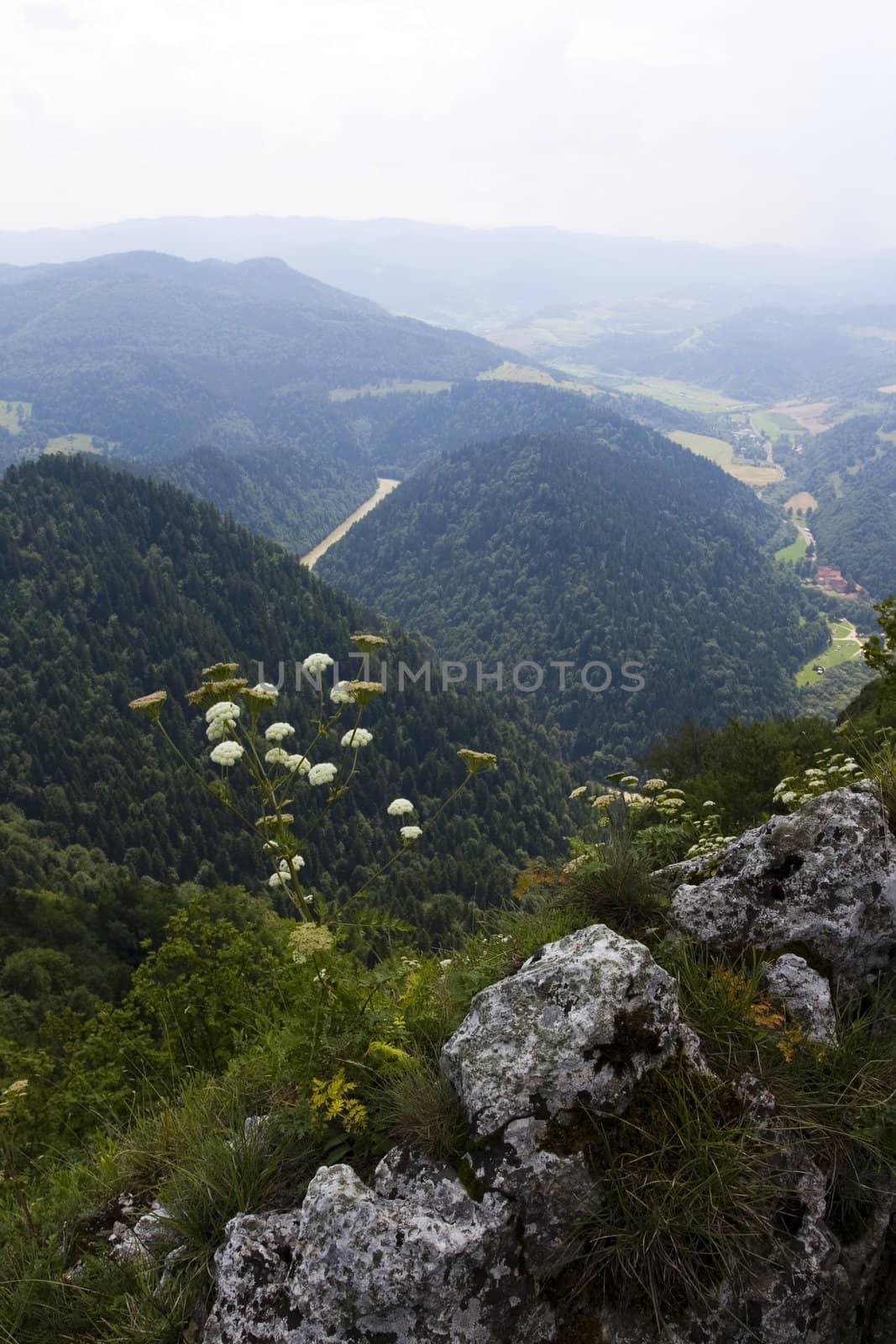 Beautiful mountain views located on the river