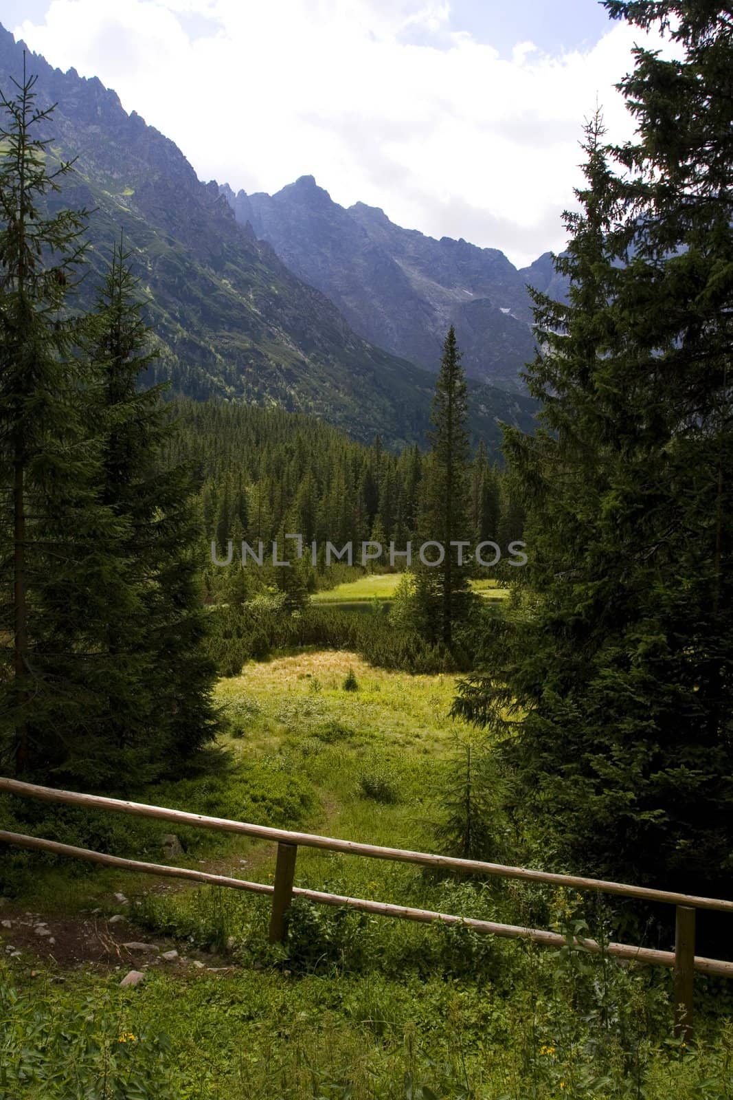 Beautiful view of mountains by shiffti