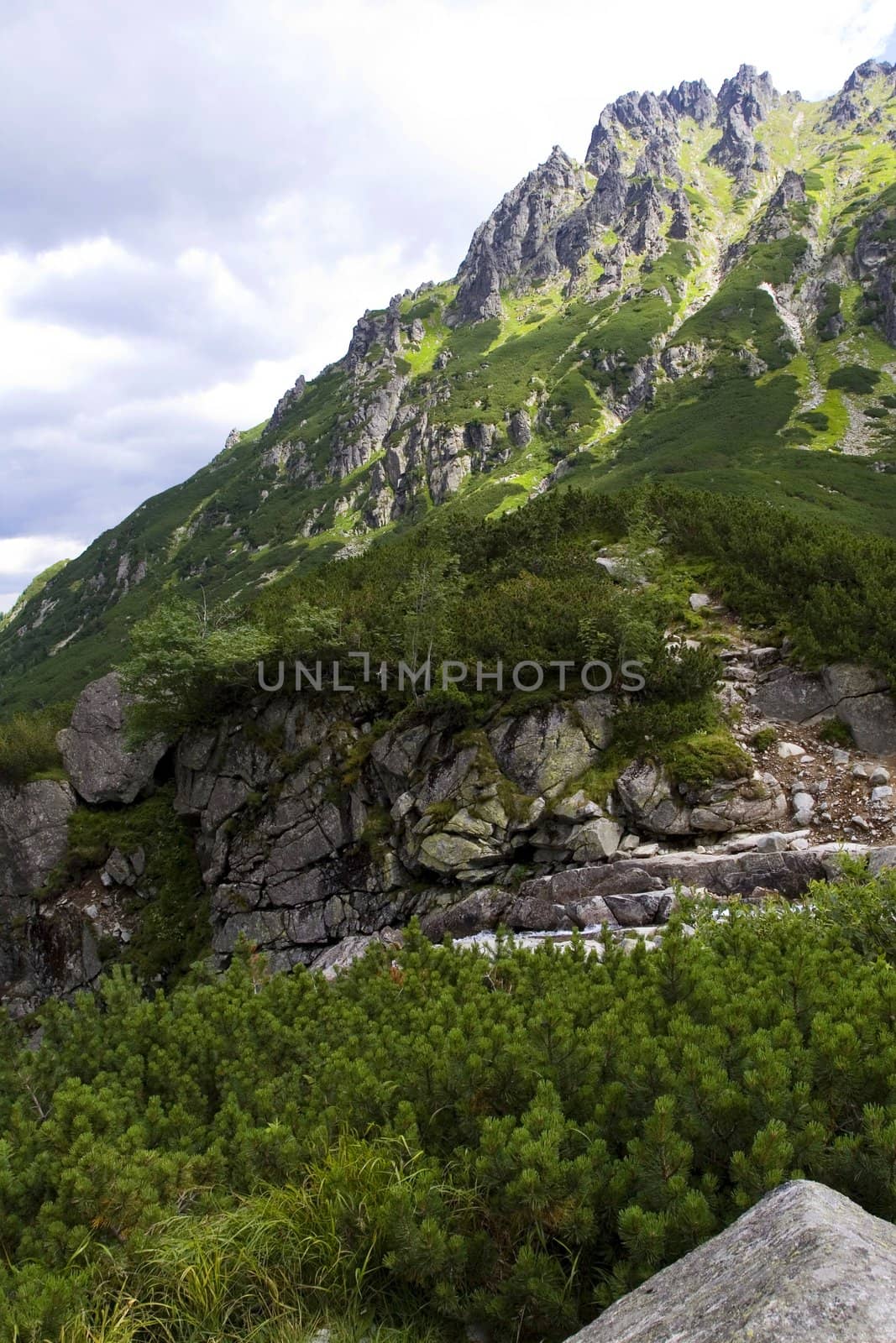 Mountains on the lake by shiffti