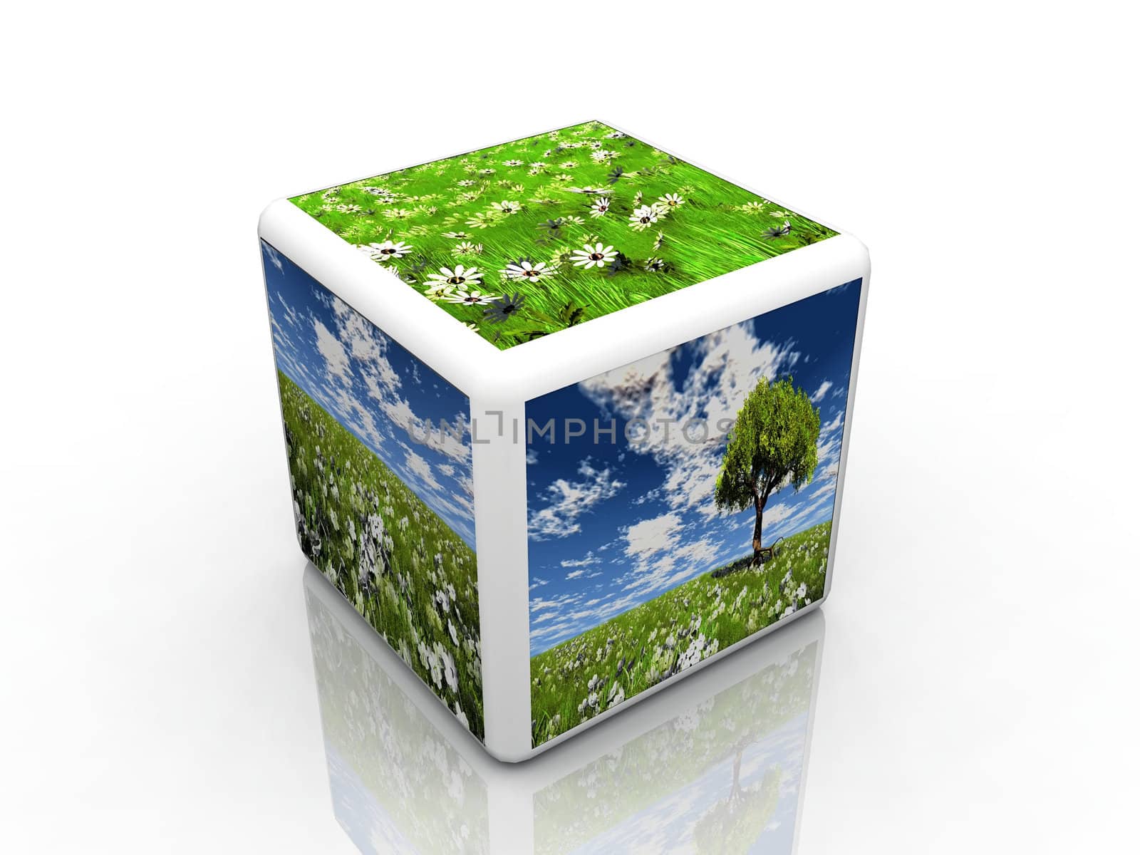 the natur cube with pictures