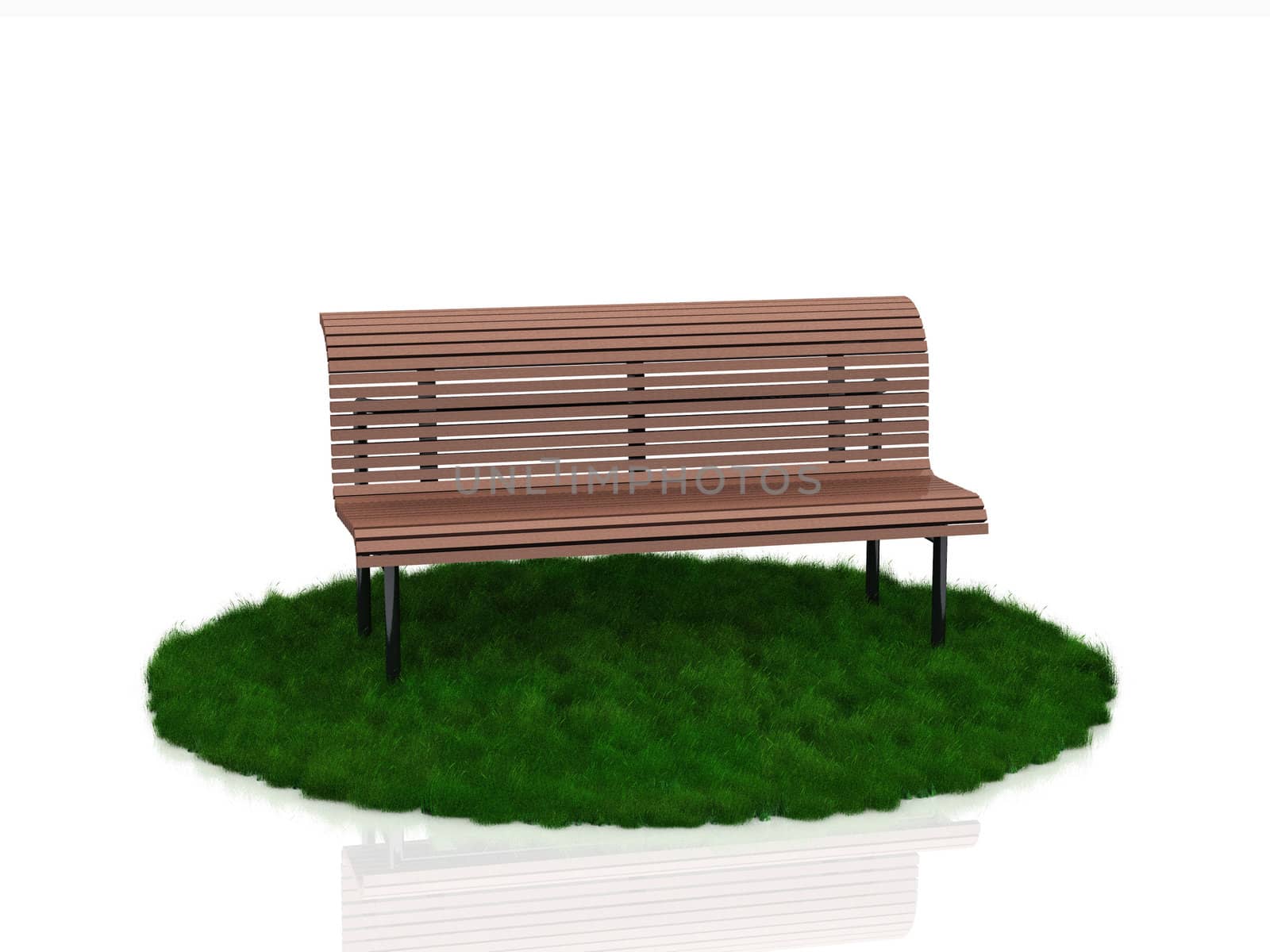 the bench on the grass