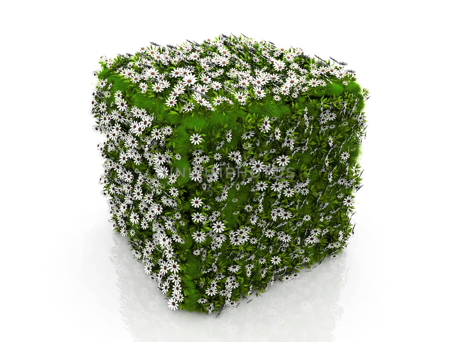 a cube with grass and flowers