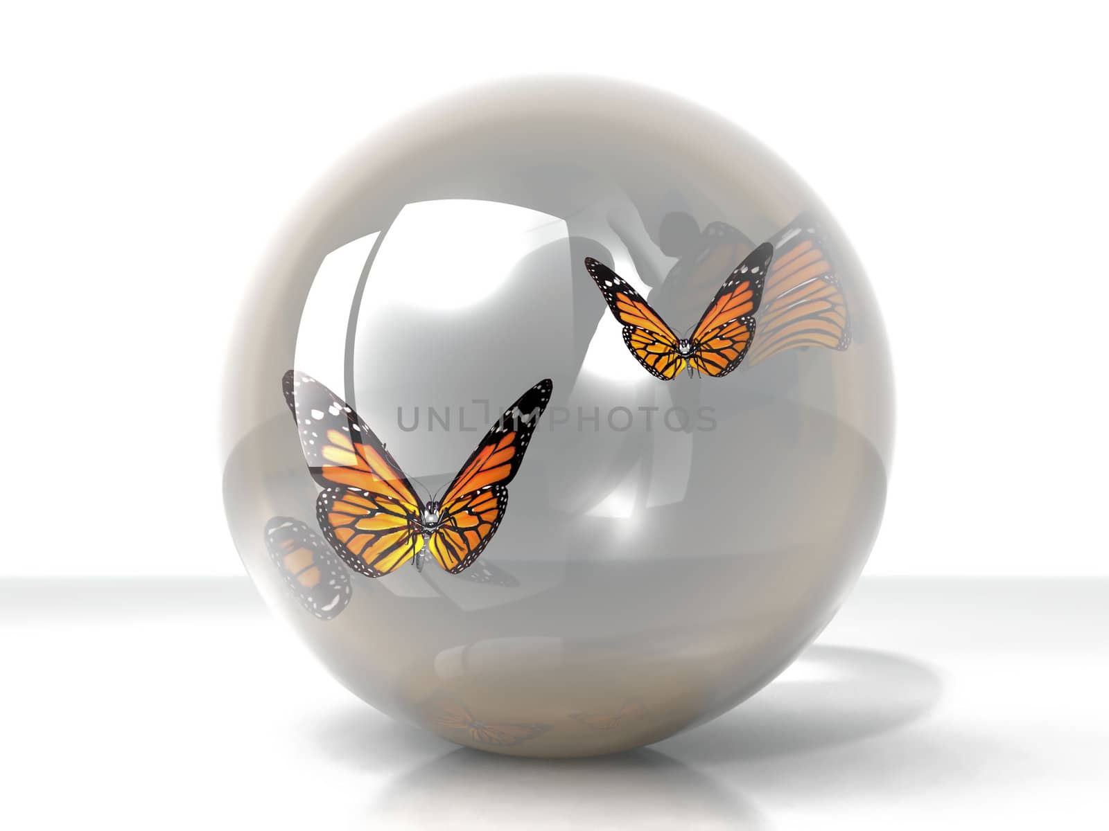 the beautiful butterfly in a bubble