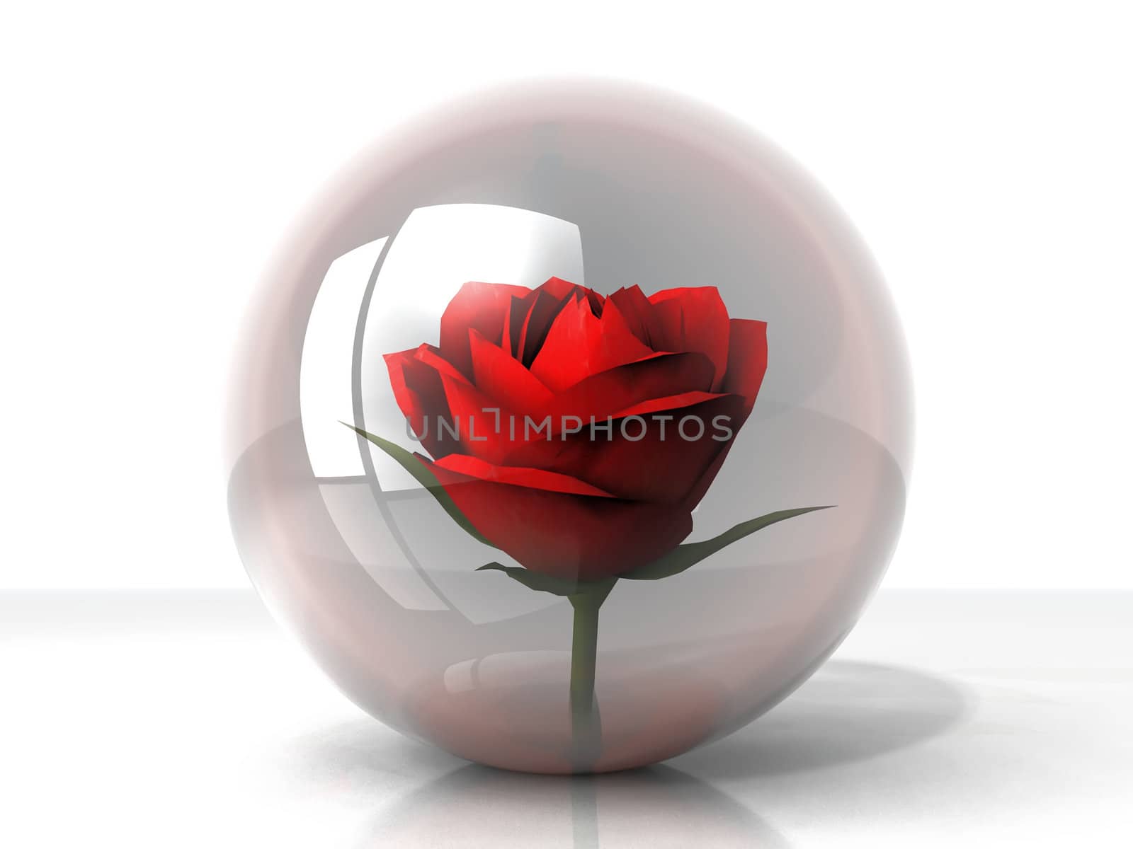 rose in a glass bubble