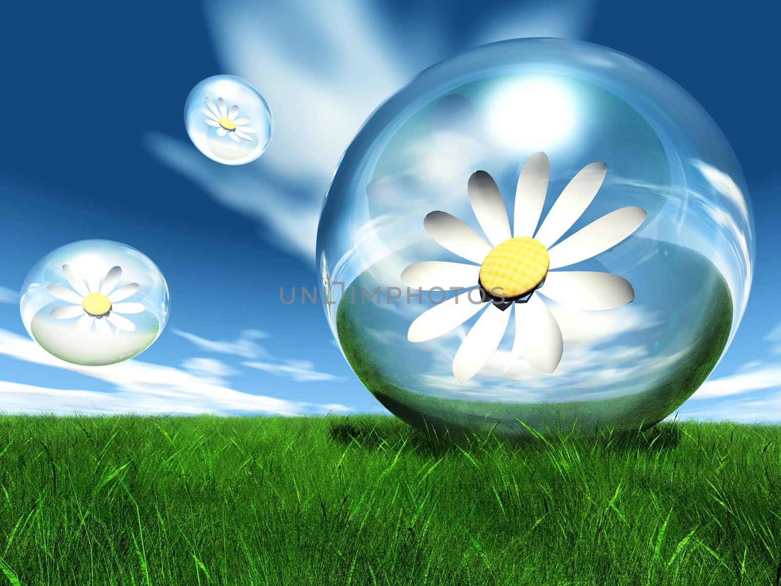 flower in the bubble by njaj