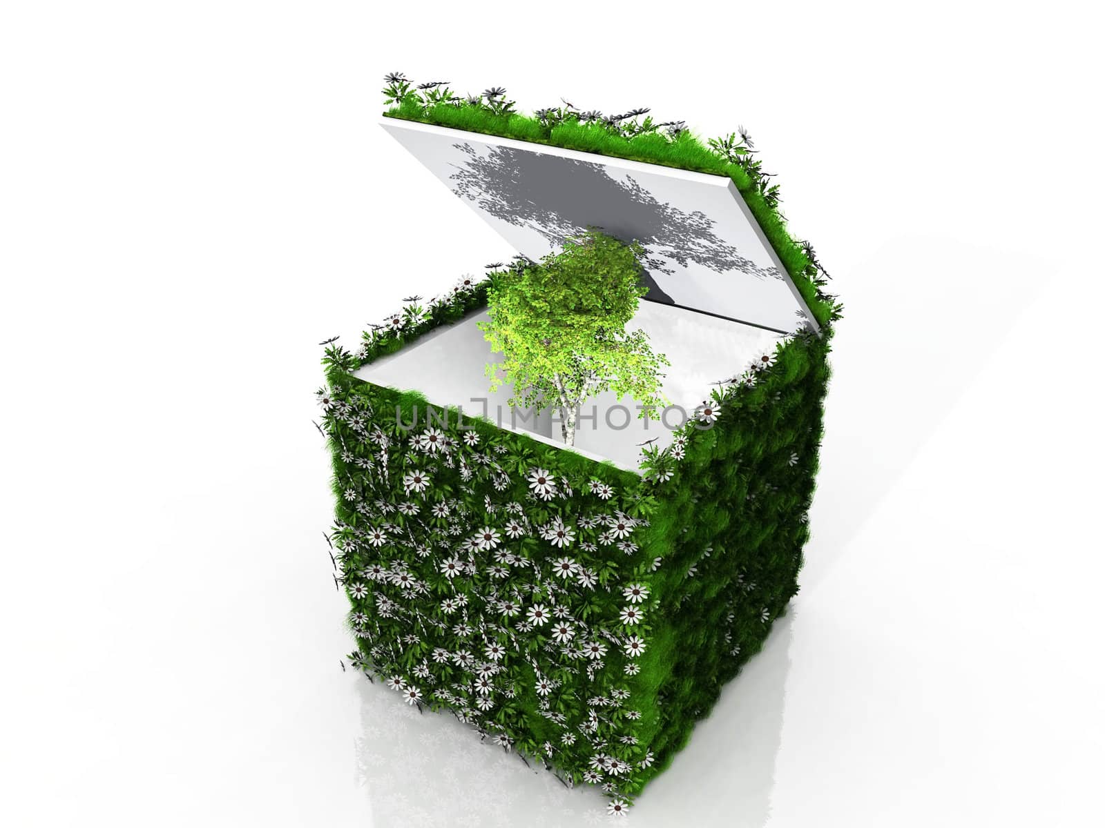 cube with grass flowers and tree