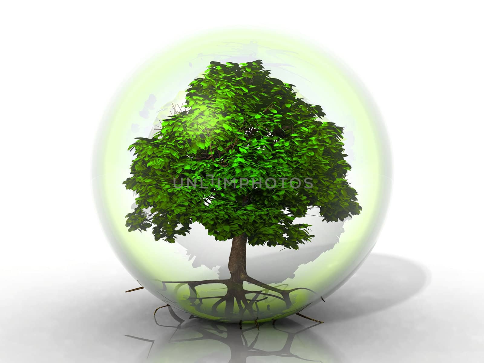 a green tree in a transparent bubble