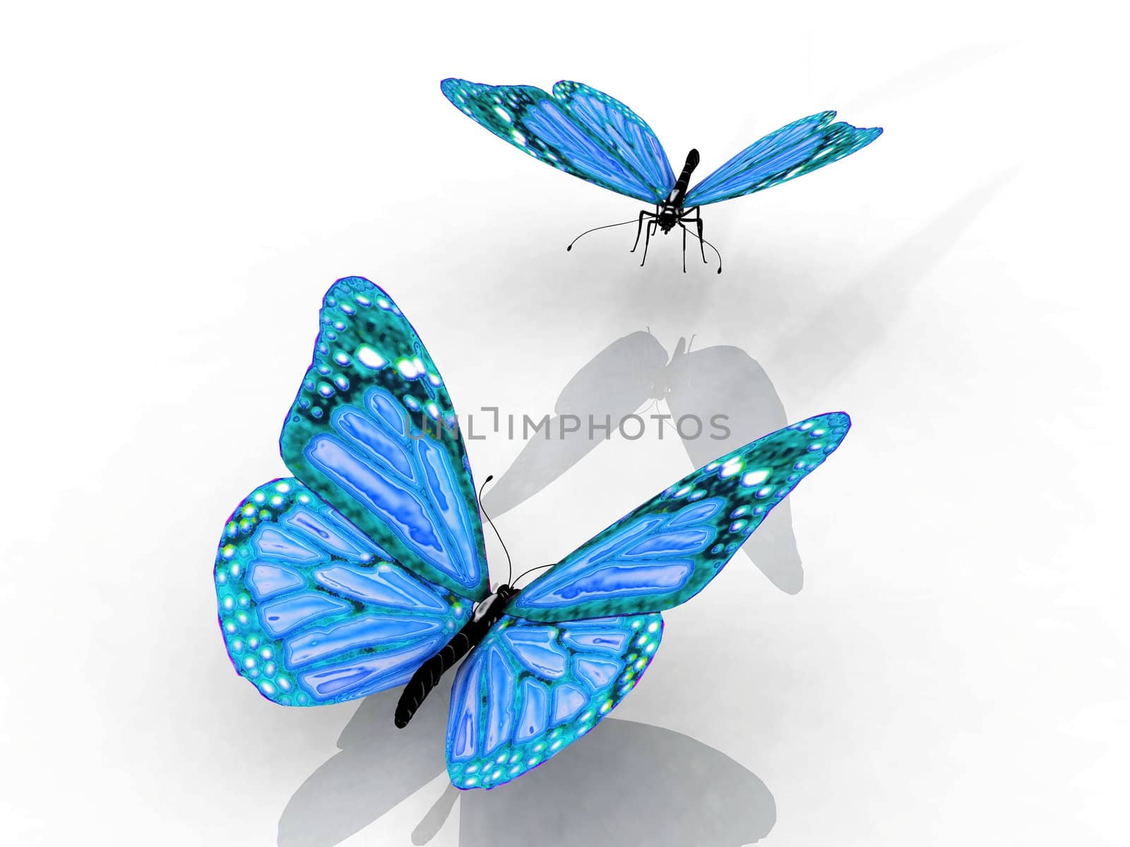 butterfly by njaj