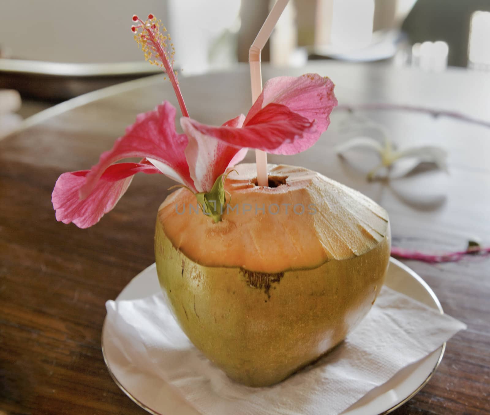 welcome coconut juice milk drink and straw dressed with Hibiscus a pink flower from the local garden, square format with crop space