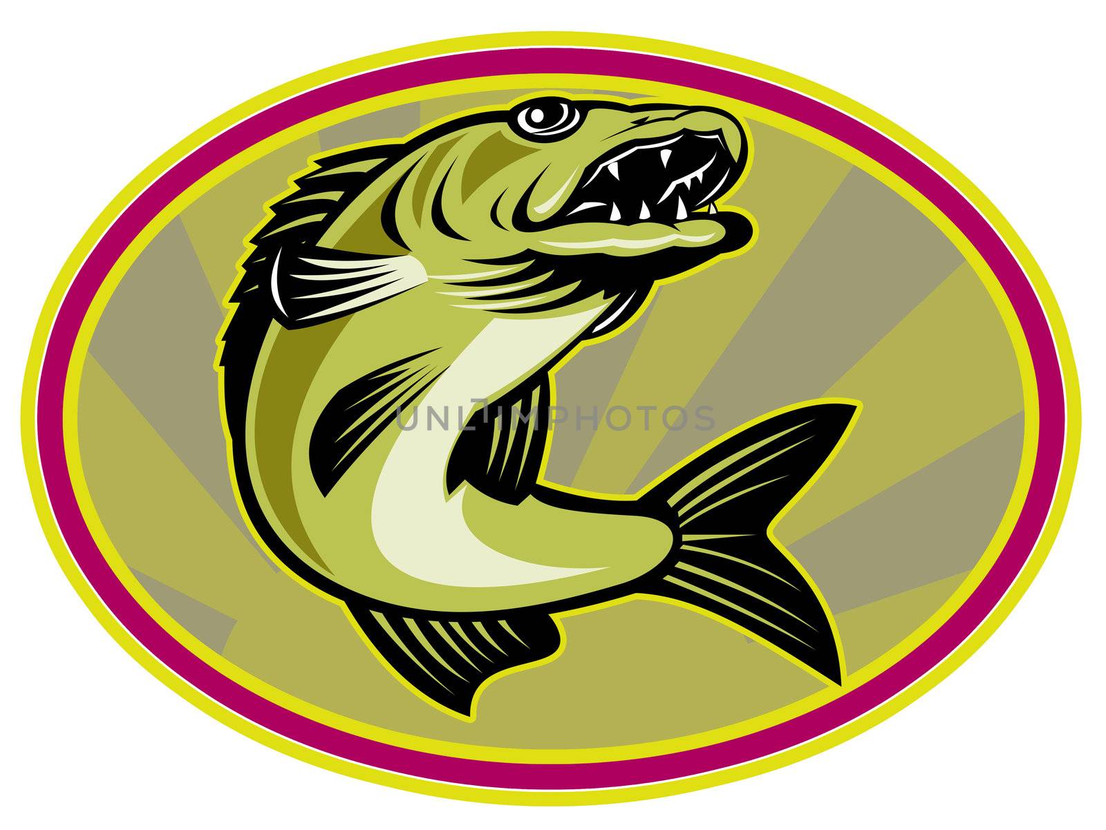 retro illustration of a walleye fish jumping set inside oval ellipse with sunburst in background 